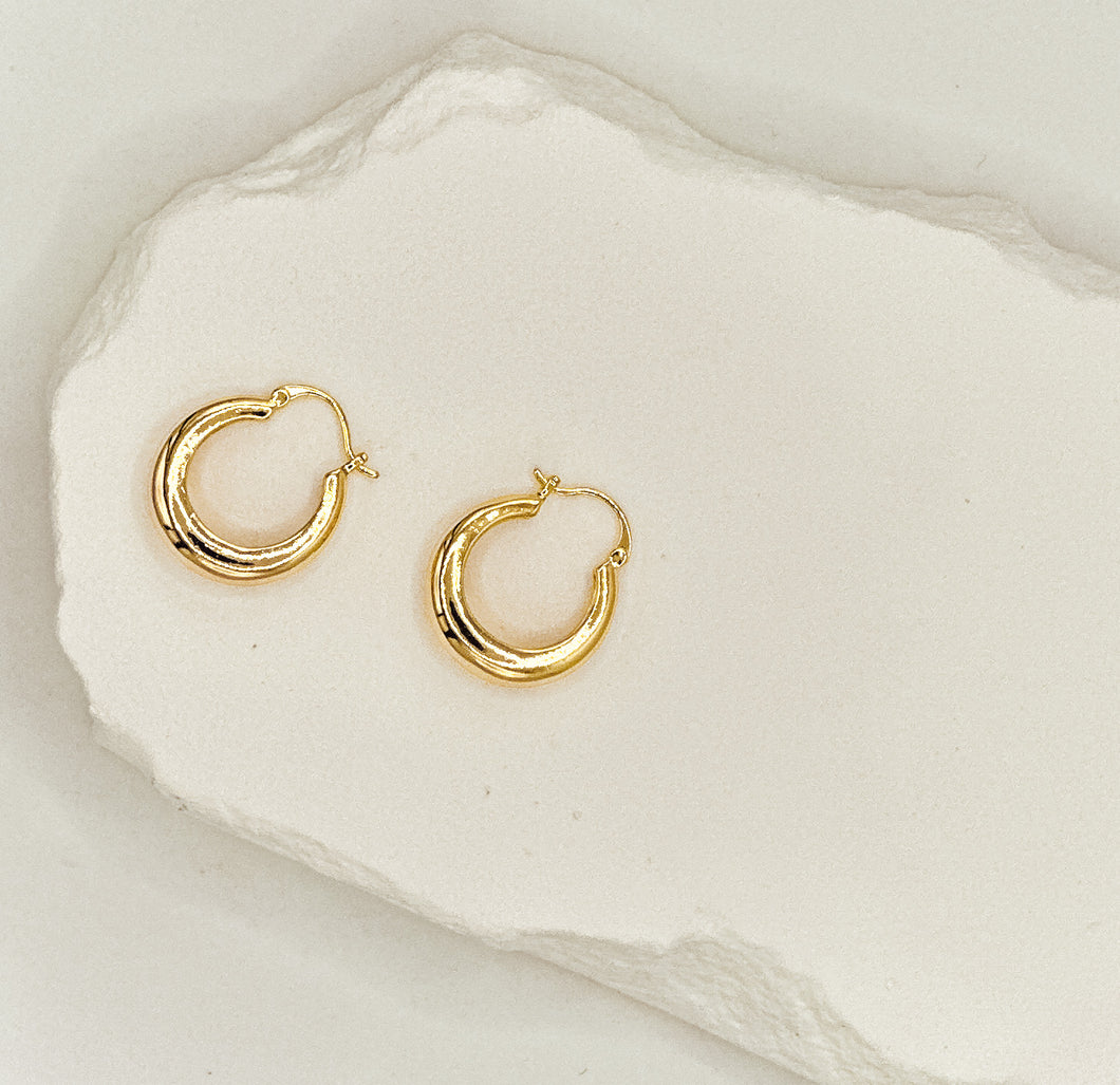 Arianna Hoops